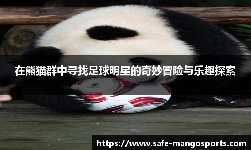 芒果体育官方网站